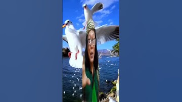 Thumbnail of HUJAN GERIMIS AJE || COVER BENYAMIN S DAN IDA ROYANI