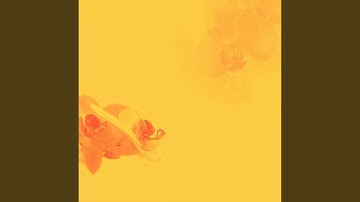 Excellent Music for Forgetting Vision