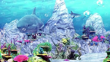 UNDERWATER ANIMATION - CONTENT VIDEO MAPPING