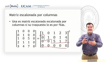Álgebra Lineal - Matriz escalonada - Jesús Soto