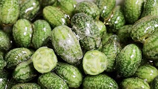 세상에서 제일 작은 수박(?)으로 탕후루 만들기 Cucamelon Tanghulu Recipe