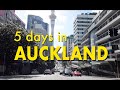 2. Exploring Auckland, buying a van, Waiheke Island | WHV New Zealand