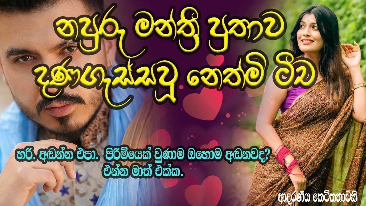 නපුරු මන්ත්‍රී පුතාව දණගැස්සවූ නෙත්මි ටීච | New Sinhala Short Stories#sinhala keti katha#shortstory#