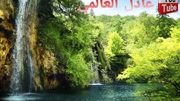 تلاوة من الزمان الجميل بمسجد باب الريان (حي الالفة) سورة المعارج الشيخ عمر القزابري