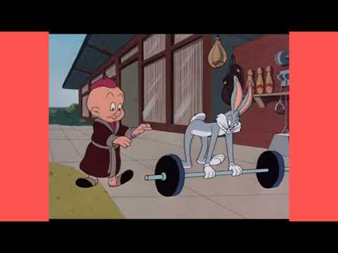 Https Whatsapp Com Channel 0029Vb7ER2CISTkQrpm9WH19 