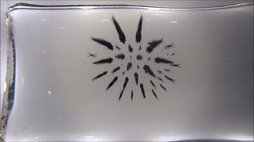 3D-Ferrofluid-Audio-Visualizer - See music in real life!