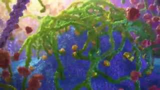 Inner Life of a Cell | Protein Packing Animation