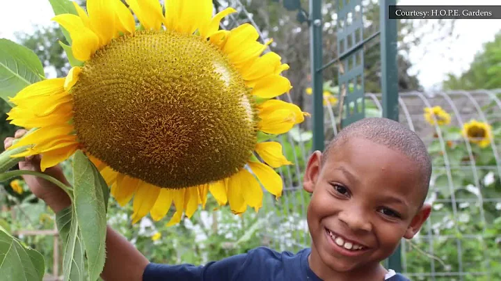 Growing lessons from Gardens of H.O.P.E. children