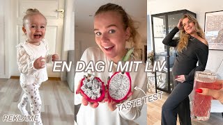 HYGGE MED ALMA, BILKA & NORMAL HAUL, SMAGER DRAGEFRUGT MED SIMON