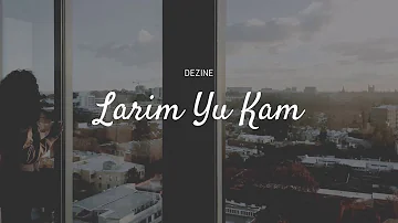 Dezine - Larim Yu Kam (Audio)