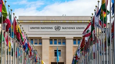 A United Nations Agency Has Launched a Crypto Fund