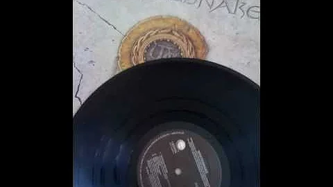 The Best Use of a Whitesnake Album