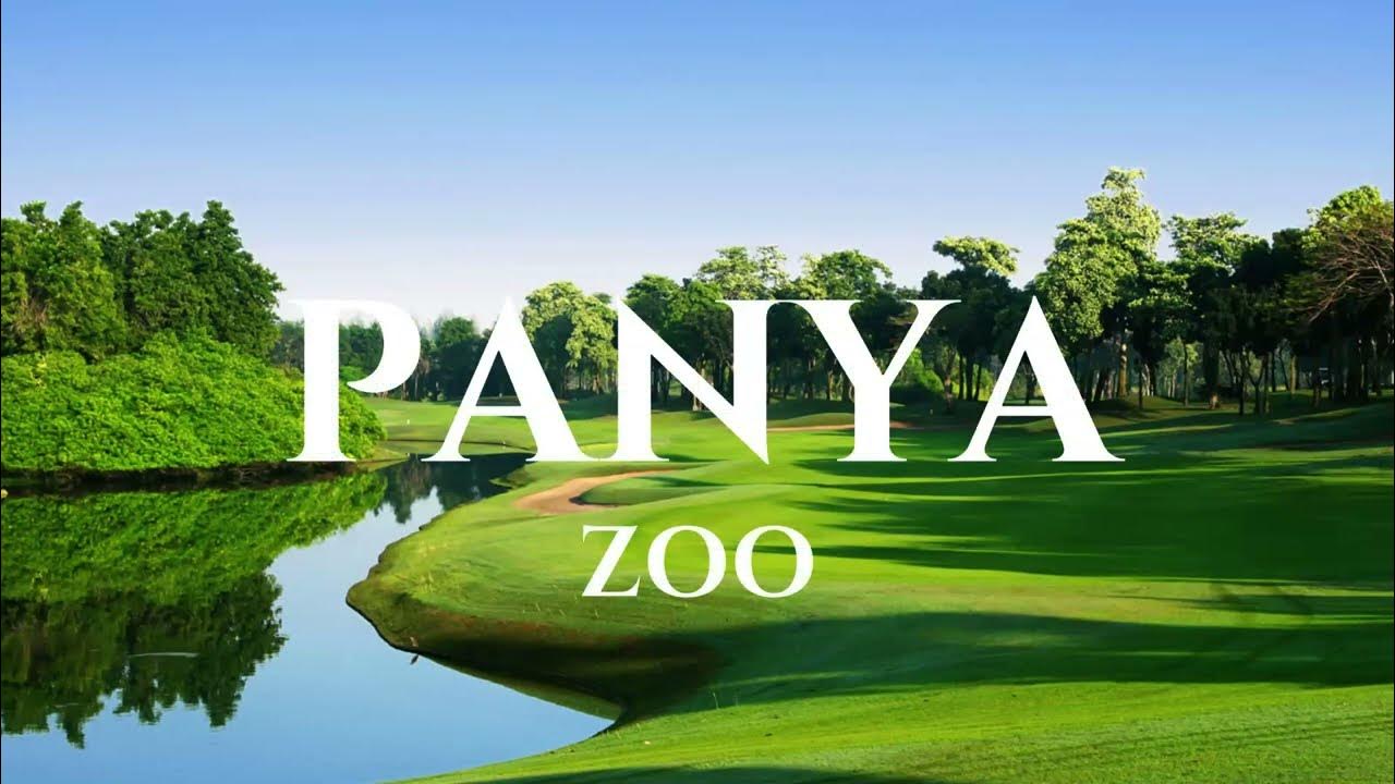 zoo panya tour