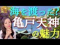 【#88】東京一の藤の名所がスゴい！亀戸天神と亀戸の歴史・由来・地形を紐解く