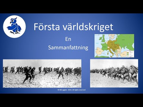 Video: Katastrofen i den österrikiska armén vid Ulm