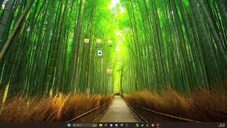 How to Install Adobe Flash CS6