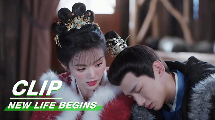 Yin Zheng Faints | New Life Begins EP36 | 卿卿日常 | iQIYI - DayDayNews