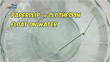 Make a Paper Clip or Clothespin Float on Water