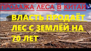 Согласно закону 473 О территориях опережающего социально-экономического развития сдаёт землю 70  лет