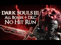 Ds3 all bosses  dlcs no hit run