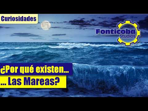 ¿Por qué Existen las Mareas? ¿Qué es la Pleamar y la Bajamar?