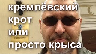 🐀 Почему от канала М. Фейгина понесло кремлёвским *овнецом.