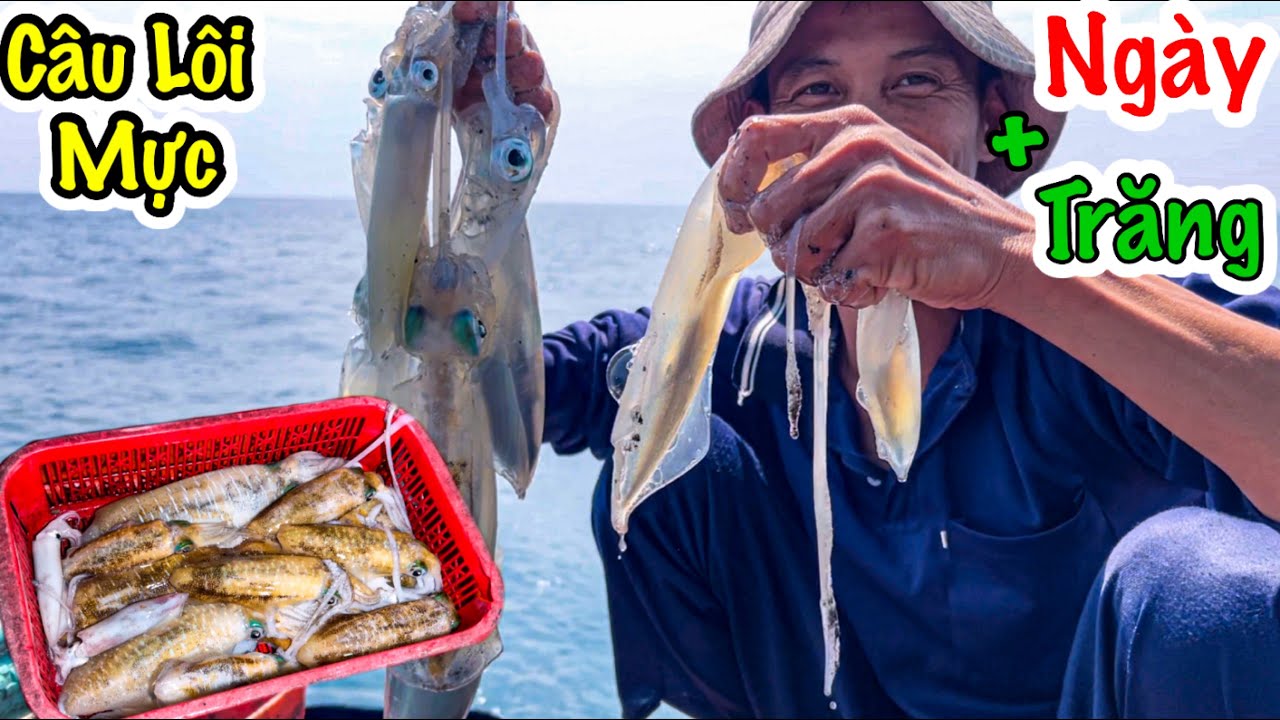 Câu Lôi Trăng 1 | Câu Được Toàn Mực “Khủng” Khi Câu Trăng | Sơn Phú Quốc