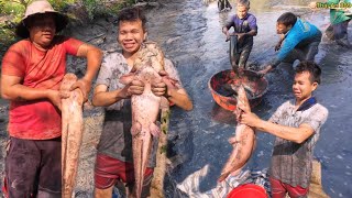 Wading through mud to catch strange, super-sized fish | Thai An 369 | about the West | episode 5