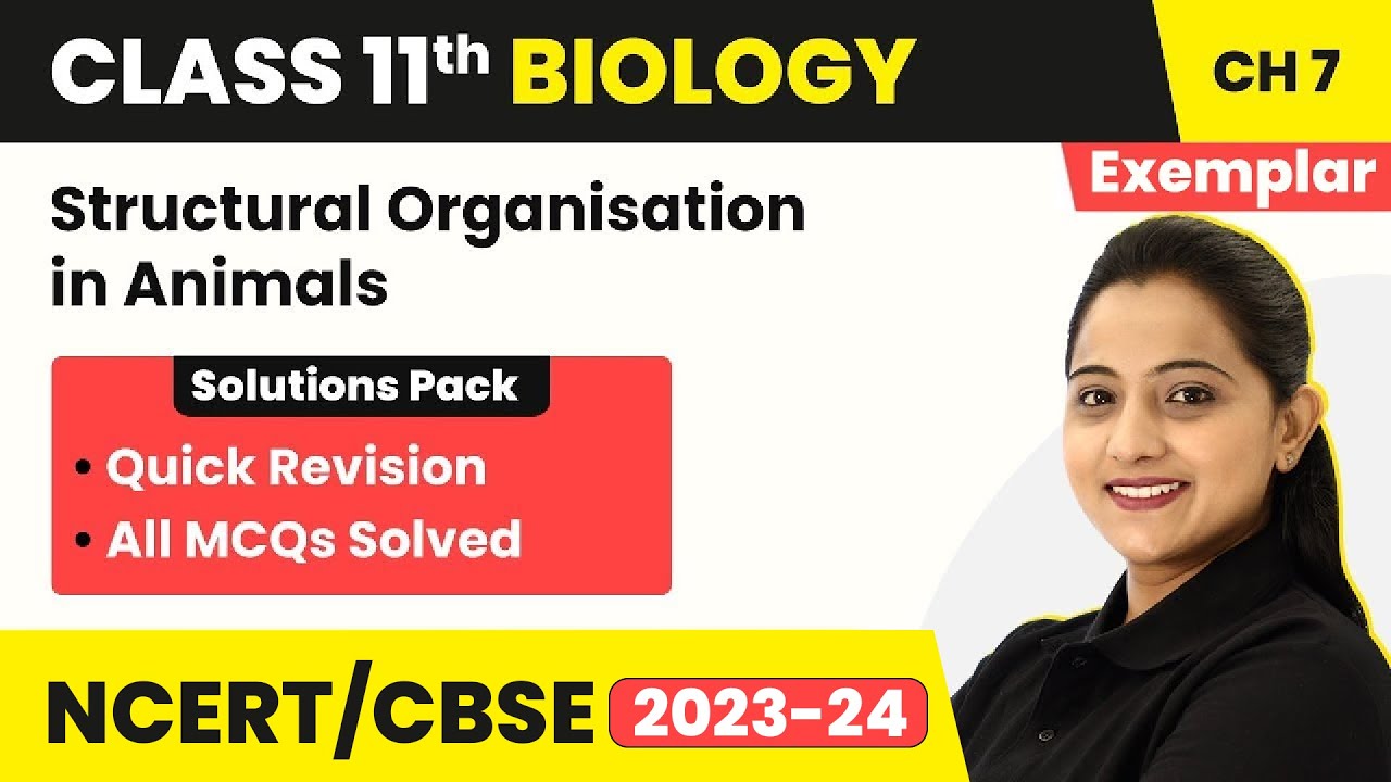 Structural Organisation in Animals - MCQs | NCERT Exemplar Class 11 Bio Ch  7 | NEET Biology - YouTube