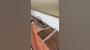 Installation window sill bricks #masonry #satisfying #mortar r
