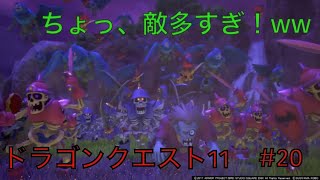 これだけの奴らに勝てんの⁉︎-ドラゴンクエスト 11実況- part20