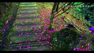 龍宮瀑布(竹坑溪步道) Longgong Waterfall(Zhukeng River Trail)