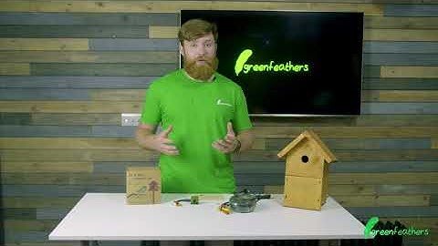 Bird Box Camera with TV Cable Connection | What