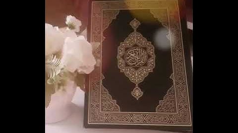 سورة الطلاق بصوت الشيخ محمد صديق المنشاوي بدون اعلانات