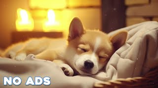 12 HOURS Soothing Music For Dogs 🎵🐶 Anti Separation Anxiety 🐶💖 Stress Relief Music