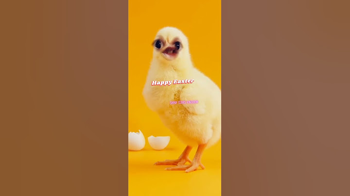 Cute Chicken Wishing You Happy Easter |Easter Egg wishing Happy Easter