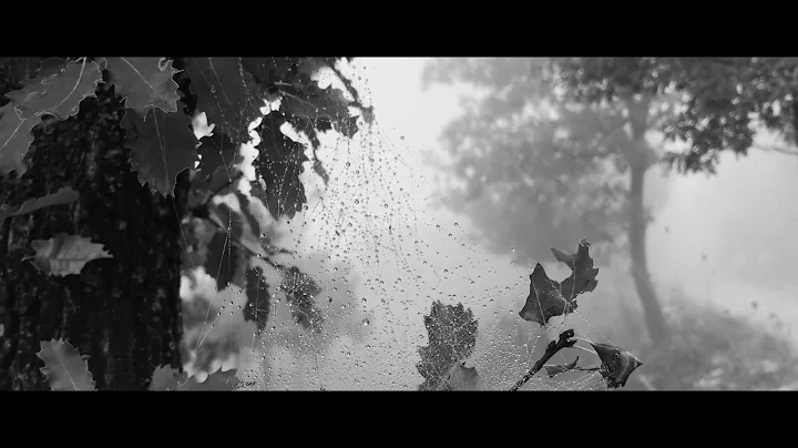 Shi Yom | Jerry Ghazal (Bicaswad Audiobook)