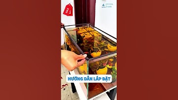 Lưới Chống Nhảy Voonline: Đa Dạng Kích Thước, Phù Hợp Mọi Loại Bể Cá #cacanh #phukiencacanh #beca