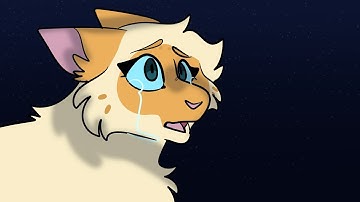 Réflexion à Mothwing MAP Part 5