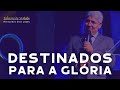 DESTINADOS PARA GLÓRIA  - Hernandes Dias Lopes