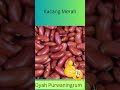 Dyah Purwa, Macam macam kacang #automobile #jalanyangjauhjanganlupapulang #bromo