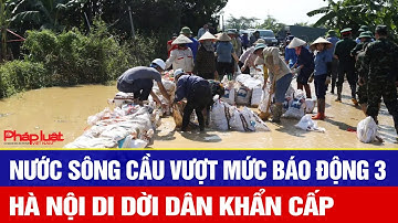 Báo động đỏ: Nước sông Cầu vượt mức báo động 3, Hà Nội di dời dân khẩn cấp