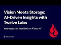 Vision meets storage aidriven insights with twelve labs