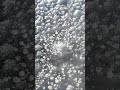 using salt to melt ice
