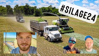 Chopping Triticale Silage 2024 | CLAAS Forage Harvester