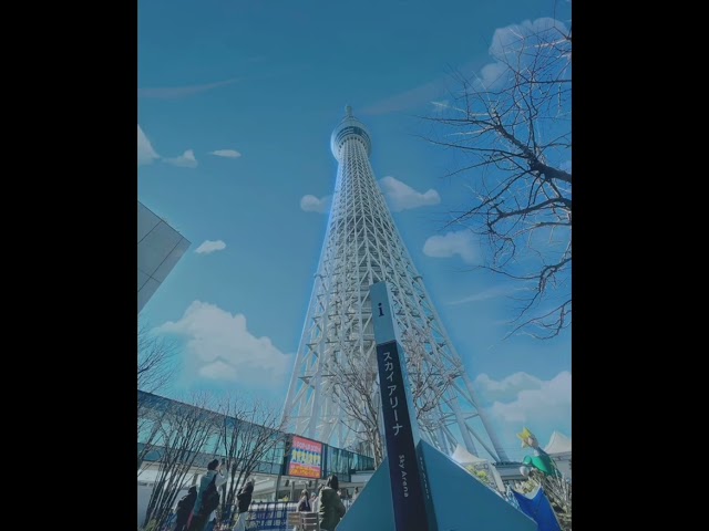 海倫帶你去旅行 - 這次，海倫帶你走訪東京地標&mdash;&mdash;東京晴空塔（Tokyo Skytree）！這座高達634 公尺的電視塔不僅是東京的象徵，更是世界第二高的建築。從展望台俯瞰，晴天時可遠眺富士山，夜晚則能欣賞東京迷人的燈海。
除了壯觀的白天景色，還有帶著聖誕節氛圍的夜間燈光秀。每到冬季，晴空塔周邊的**東京晴空街道（Tokyo Solamachi）**也會布滿夢幻燈飾，更有各種藥妝店、限定甜點及周邊商品，讓您回味無窮❣