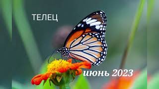 Прогноз на июнь 2023 Телец