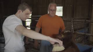 Taking Root Farms:  Our Story