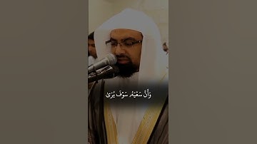 القارئ ناصر القطامي / سورة النجم الآية 39-42