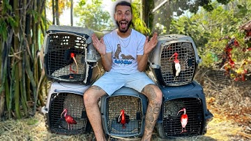 I Bought NEW BIRDS For My AVIARY!